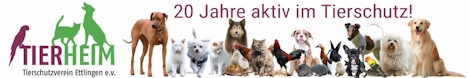 TSV Ettlingen - Hier haben wir Jason adoptiert