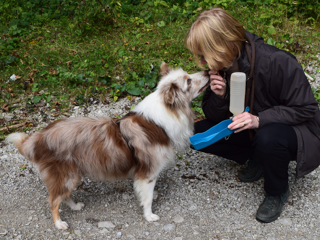 Besonderer Hund Jason und sein Frauchen