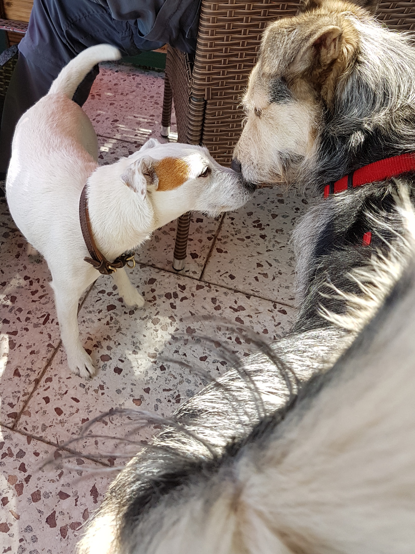 Terry mit Verehrerin